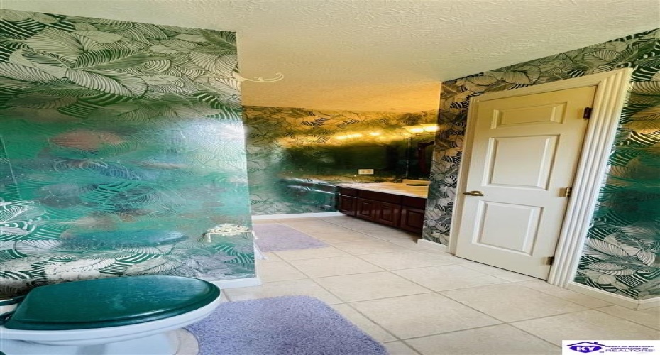 Beechwood Drive, Campbellsville, Kentucky 42718, ,3 BathroomsBathrooms,For Sale,Beechwood Drive,HK24002301