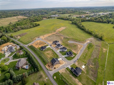 Fall Creek Lane, Elizabethtown, Kentucky 42701, ,For Sale,Fall Creek Lane,HK24002307