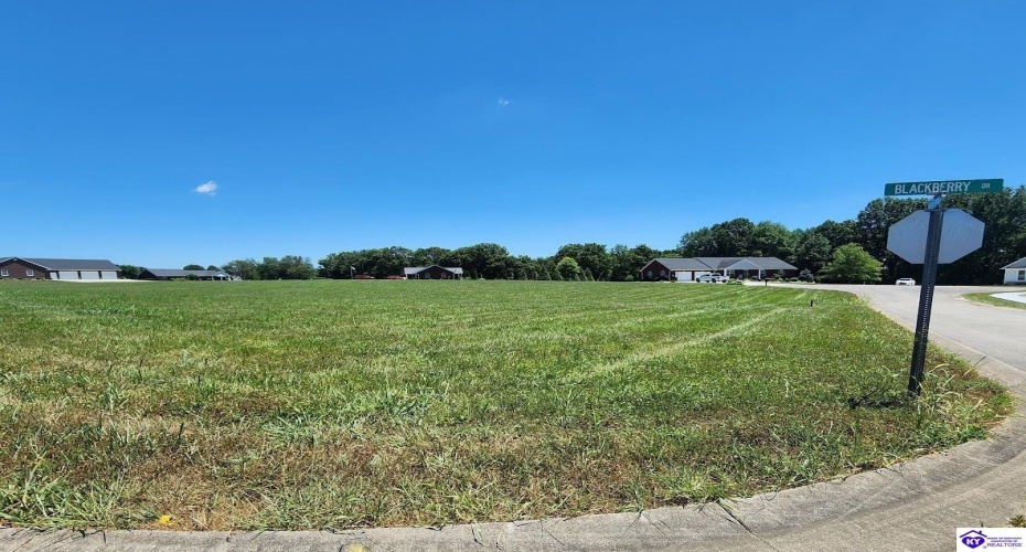 Blue Bird Circle, Campbellsville, Kentucky 42718, ,For Sale,Blue Bird Circle,HK24002315