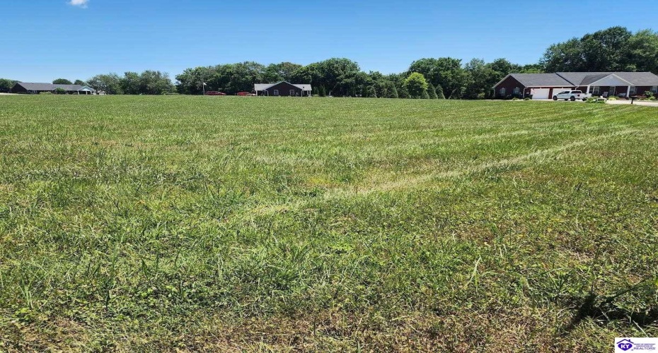 Blue Bird Circle, Campbellsville, Kentucky 42718, ,For Sale,Blue Bird Circle,HK24002315