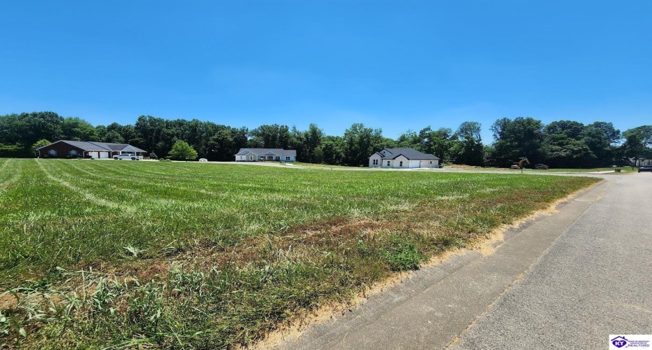 Blue Bird Circle, Campbellsville, Kentucky 42718, ,For Sale,Blue Bird Circle,HK24002315