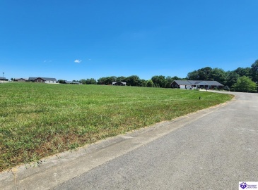 Blue Bird Circle, Campbellsville, Kentucky 42718, ,For Sale,Blue Bird Circle,HK24002315