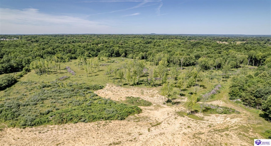 Deckard School Road, Rineyville, Kentucky 40162, ,For Sale,Deckard School Road,HK24002317