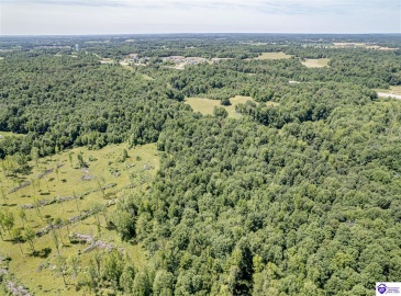 Deckard School Road, Rineyville, Kentucky 40162, ,For Sale,Deckard School Road,HK24002317