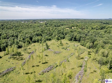 Deckard School Road, Rineyville, Kentucky 40162, ,For Sale,Deckard School Road,HK24002317