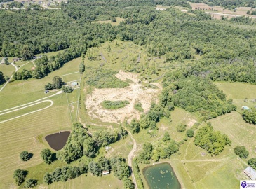 Deckard School Road, Rineyville, Kentucky 40162, ,For Sale,Deckard School Road,HK24002317