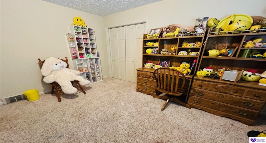 Tammie Trail, Campbellsville, Kentucky 42718, ,2 BathroomsBathrooms,For Sale,Tammie Trail,HK24002321