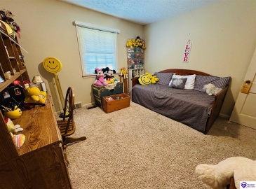 Tammie Trail, Campbellsville, Kentucky 42718, ,2 BathroomsBathrooms,For Sale,Tammie Trail,HK24002321