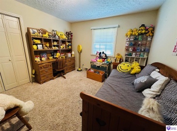 Tammie Trail, Campbellsville, Kentucky 42718, ,2 BathroomsBathrooms,For Sale,Tammie Trail,HK24002321