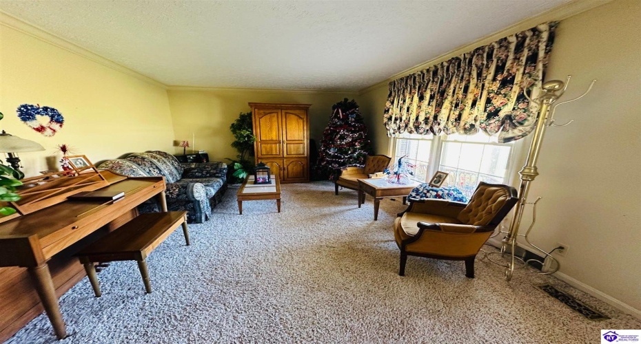 Tammie Trail, Campbellsville, Kentucky 42718, ,2 BathroomsBathrooms,For Sale,Tammie Trail,HK24002321