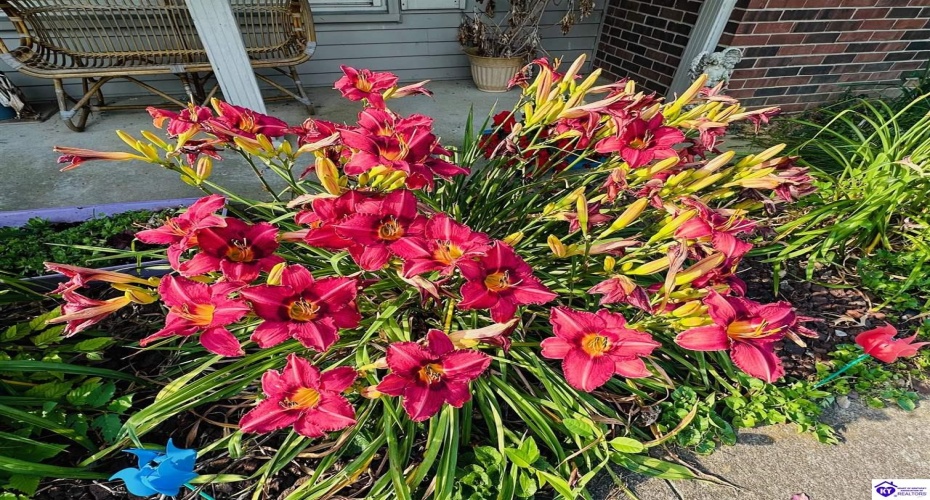 Tammie Trail, Campbellsville, Kentucky 42718, ,2 BathroomsBathrooms,For Sale,Tammie Trail,HK24002321