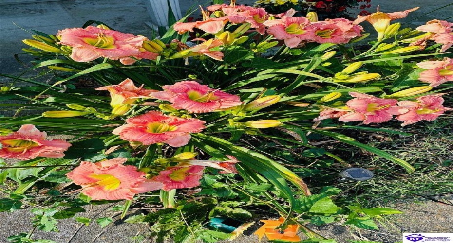 Tammie Trail, Campbellsville, Kentucky 42718, ,2 BathroomsBathrooms,For Sale,Tammie Trail,HK24002321