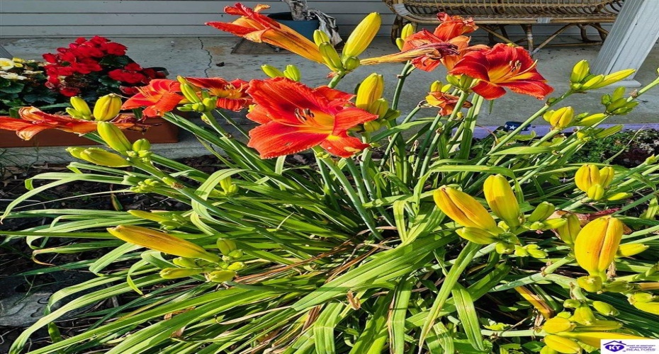 Tammie Trail, Campbellsville, Kentucky 42718, ,2 BathroomsBathrooms,For Sale,Tammie Trail,HK24002321