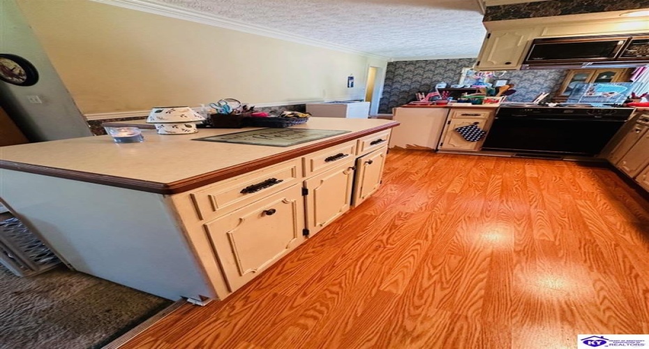 Tammie Trail, Campbellsville, Kentucky 42718, ,2 BathroomsBathrooms,For Sale,Tammie Trail,HK24002321