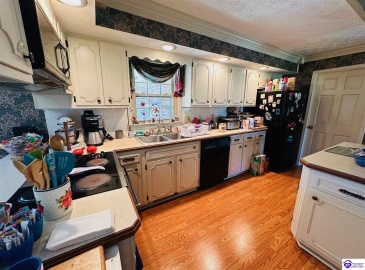 Tammie Trail, Campbellsville, Kentucky 42718, ,2 BathroomsBathrooms,For Sale,Tammie Trail,HK24002321