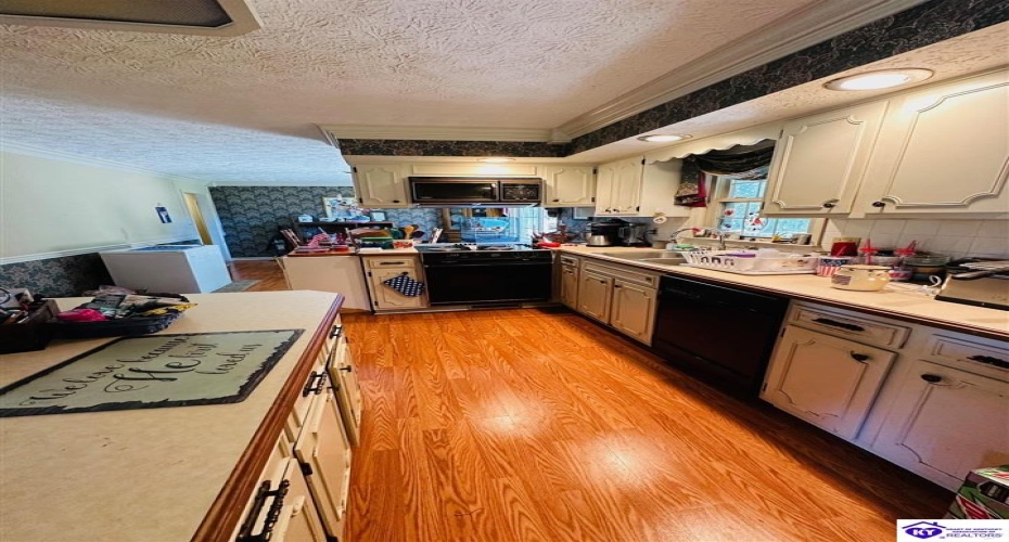 Tammie Trail, Campbellsville, Kentucky 42718, ,2 BathroomsBathrooms,For Sale,Tammie Trail,HK24002321