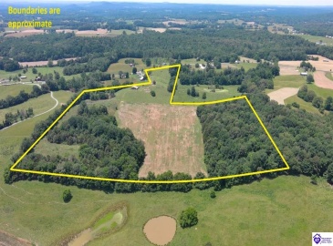 Aetna Grove Church Road, Summersville, Kentucky 42782, ,For Sale,Aetna Grove Church Road,HK24002381