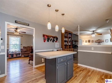 Sunbeam Road, Leitchfield, Kentucky 42754, ,3 BathroomsBathrooms,For Sale,Sunbeam Road,HK24002378