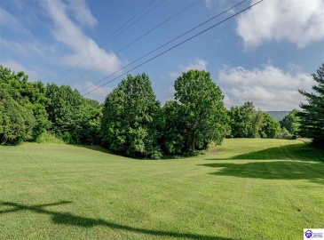 Sunbeam Road, Leitchfield, Kentucky 42754, ,3 BathroomsBathrooms,For Sale,Sunbeam Road,HK24002378