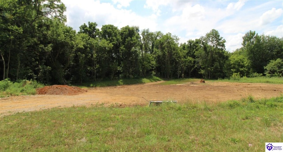 Highland Drive, Radcliff, Kentucky 40160, ,For Sale,Highland Drive,HK24002400