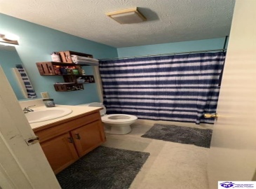 Highway 259, McDaniels, Kentucky 40152, ,1 BathroomBathrooms,For Sale,Highway 259,HK24002427