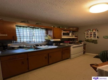 Highway 259, McDaniels, Kentucky 40152, ,1 BathroomBathrooms,For Sale,Highway 259,HK24002427