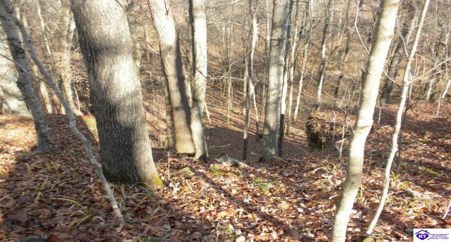 Benleo Road, Bowling Green, Kentucky 42101, ,For Sale,Benleo Road,HK24002447