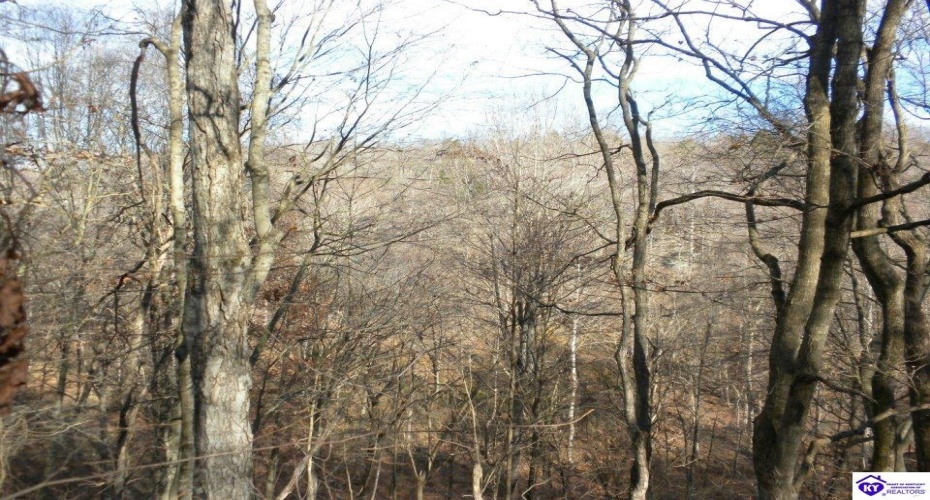 Benleo Road, Bowling Green, Kentucky 42101, ,For Sale,Benleo Road,HK24002447