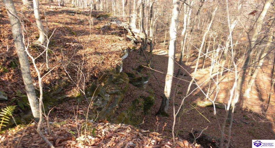 Benleo Road, Bowling Green, Kentucky 42101, ,For Sale,Benleo Road,HK24002447