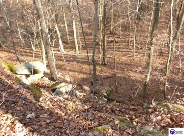 Benleo Road, Bowling Green, Kentucky 42101, ,For Sale,Benleo Road,HK24002447