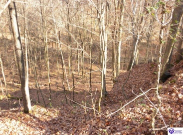 Benleo Road, Bowling Green, Kentucky 42101, ,For Sale,Benleo Road,HK24002447