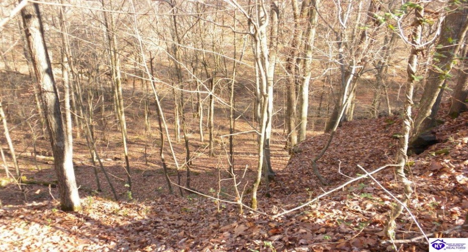 Benleo Road, Bowling Green, Kentucky 42101, ,For Sale,Benleo Road,HK24002447