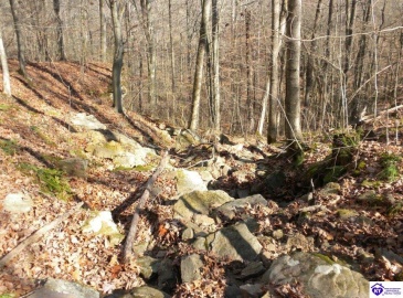 Benleo Road, Bowling Green, Kentucky 42101, ,For Sale,Benleo Road,HK24002447