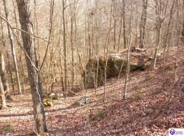 Benleo Road, Bowling Green, Kentucky 42101, ,For Sale,Benleo Road,HK24002447