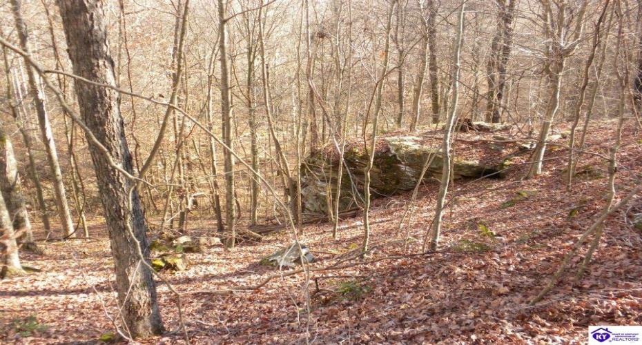 Benleo Road, Bowling Green, Kentucky 42101, ,For Sale,Benleo Road,HK24002447