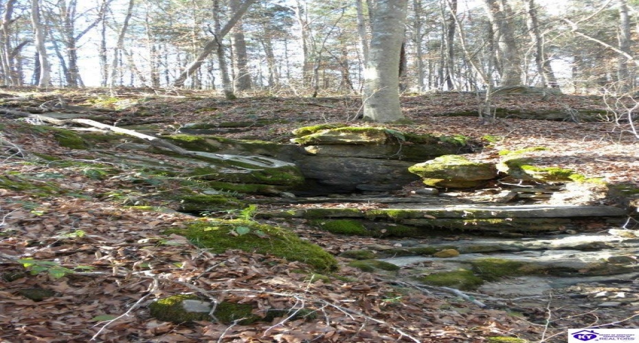 Benleo Road, Bowling Green, Kentucky 42101, ,For Sale,Benleo Road,HK24002447