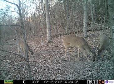 Benleo Road, Bowling Green, Kentucky 42101, ,For Sale,Benleo Road,HK24002447