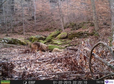 Benleo Road, Bowling Green, Kentucky 42101, ,For Sale,Benleo Road,HK24002447