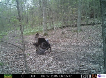 Benleo Road, Bowling Green, Kentucky 42101, ,For Sale,Benleo Road,HK24002447