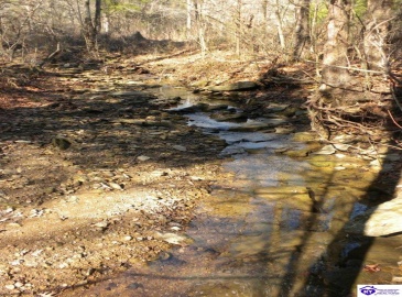 Benleo Road, Bowling Green, Kentucky 42101, ,For Sale,Benleo Road,HK24002447