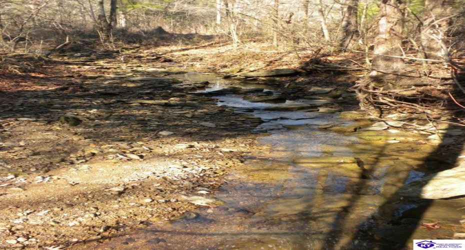 Benleo Road, Bowling Green, Kentucky 42101, ,For Sale,Benleo Road,HK24002447