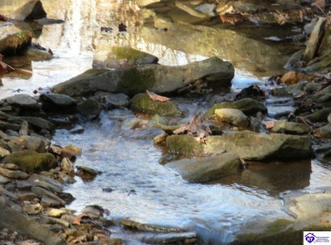 Benleo Road, Bowling Green, Kentucky 42101, ,For Sale,Benleo Road,HK24002447