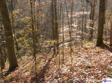 Benleo Road, Bowling Green, Kentucky 42101, ,For Sale,Benleo Road,HK24002447