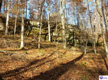 Benleo Road, Bowling Green, Kentucky 42101, ,For Sale,Benleo Road,HK24002447