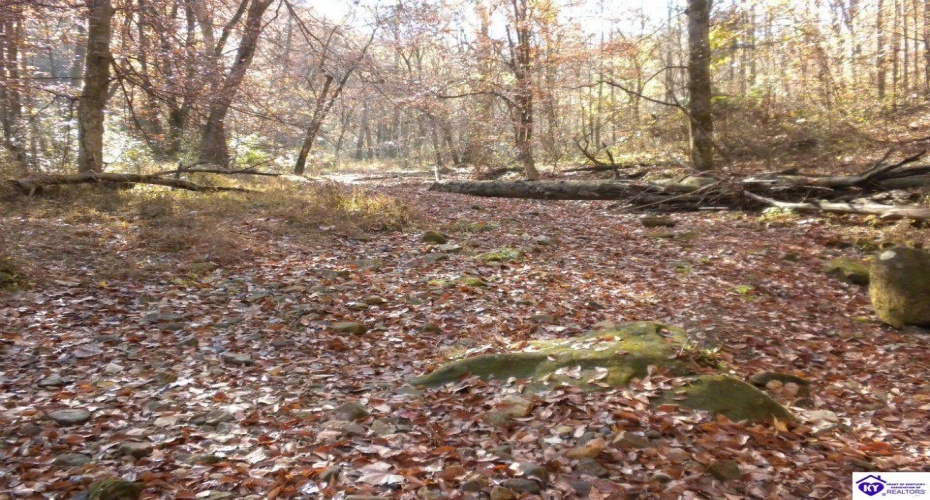 Benleo Road, Bowling Green, Kentucky 42101, ,For Sale,Benleo Road,HK24002447