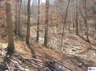 Benleo Road, Bowling Green, Kentucky 42101, ,For Sale,Benleo Road,HK24002447