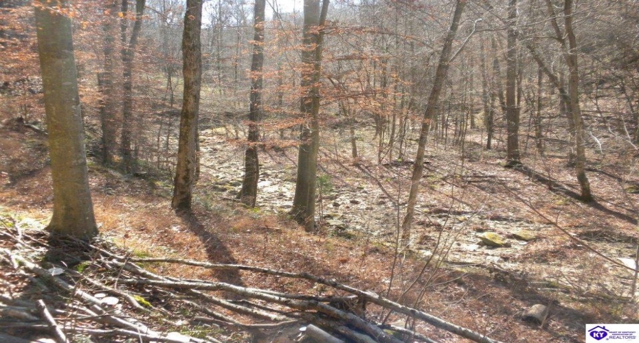 Benleo Road, Bowling Green, Kentucky 42101, ,For Sale,Benleo Road,HK24002447