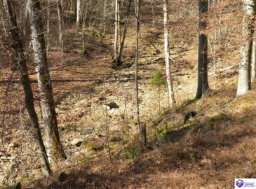 Benleo Road, Bowling Green, Kentucky 42101, ,For Sale,Benleo Road,HK24002447