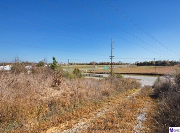 Dixie Highway, Elizabethtown, Kentucky 42701, ,For Sale,Dixie Highway,HK23004114