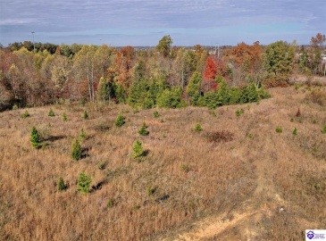 Dixie Highway, Elizabethtown, Kentucky 42701, ,For Sale,Dixie Highway,HK23004114